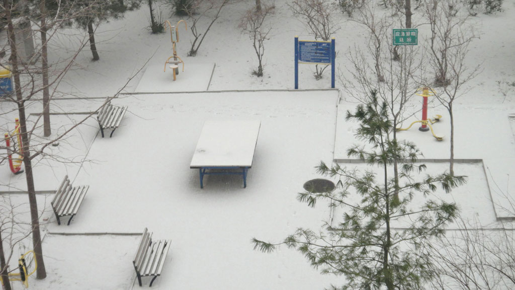 2012年12月12日北京雪景